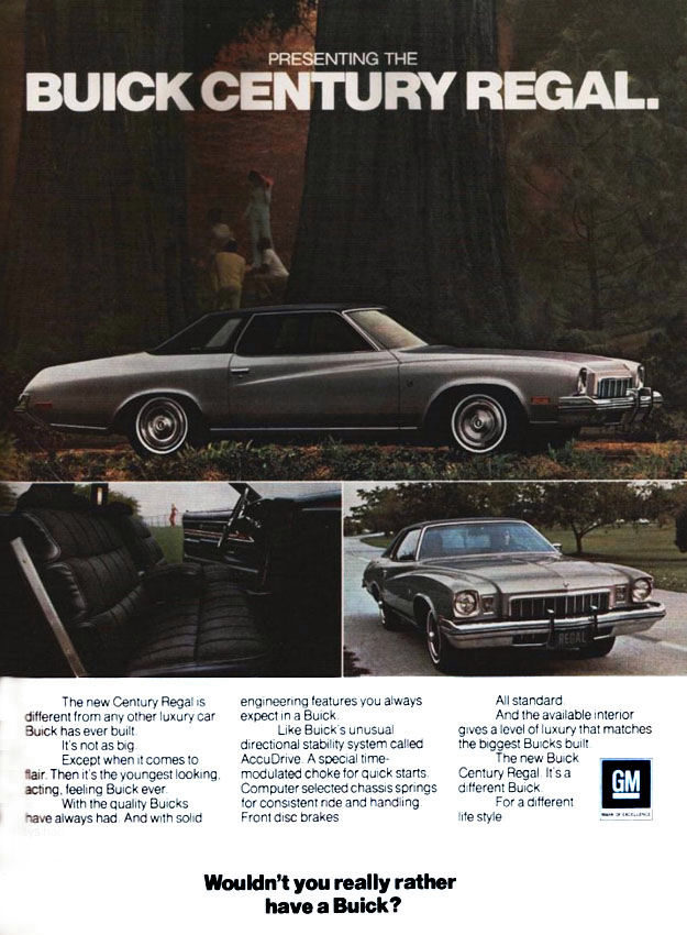 1973 Buick Ad-04
