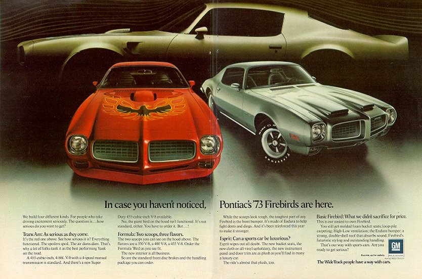 1973 Pontiac Firebird Ad-01